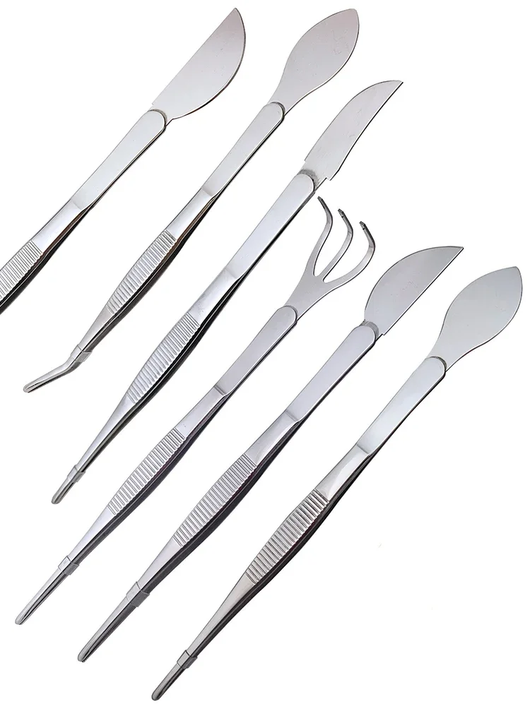 1pc 2-in-1  304 Stainless Stee - Scissors Stainless Craft reseña y precio