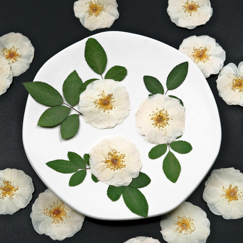 6pcs,9pcs,Nature White Rose Pr - Wax Seal Stamp Kit reseña y precio