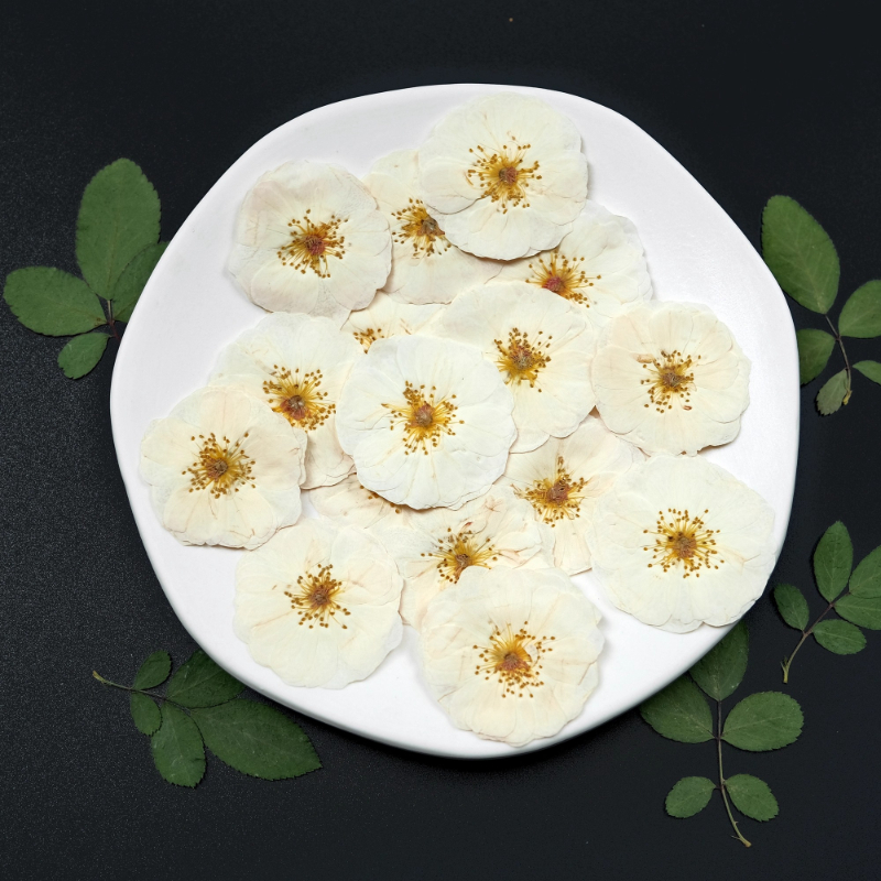 6pcs,9pcs,Nature White Rose Pr - Wax Seal Stamp Kit reseña y precio