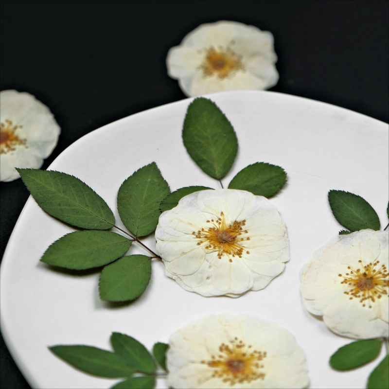 6pcs,9pcs,Nature White Rose Pr - Wax Seal Stamp Kit reseña y precio